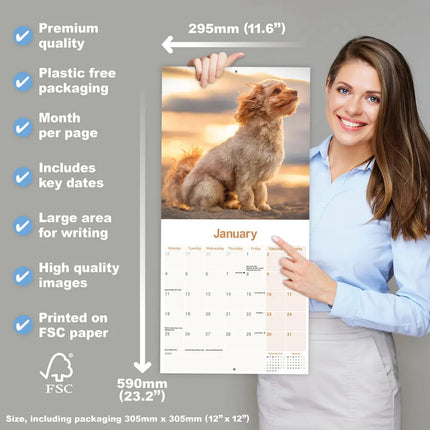 Avonside Cavapoo Kalender 2027