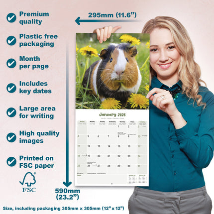 Avonside Cavia Kalender 2026