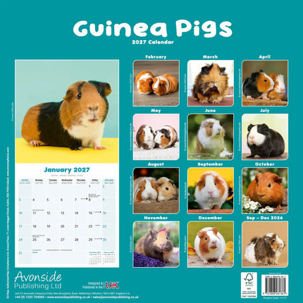 Avonside Cavia Kalender 2027
