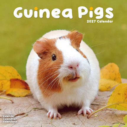 Avonside Cavia Kalender 2027