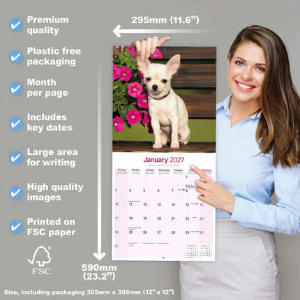 Avonside Chihuahua Kalender 2027