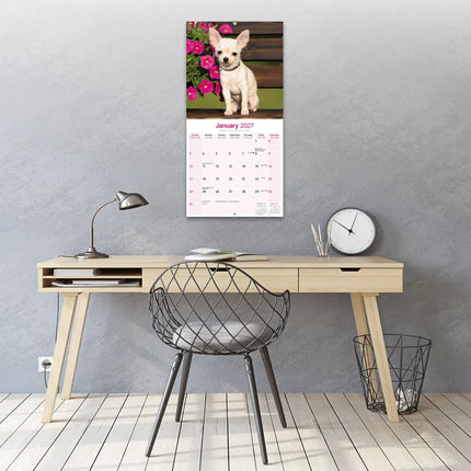 Avonside Chihuahua Kalender 2027