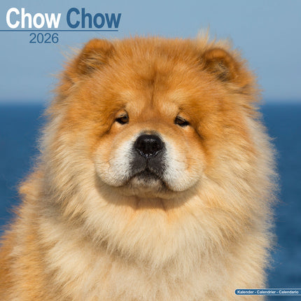 Avonside Chow Chow Kalender 2027