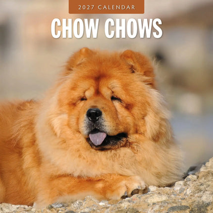 Avonside Chow Chow Kalender 2027