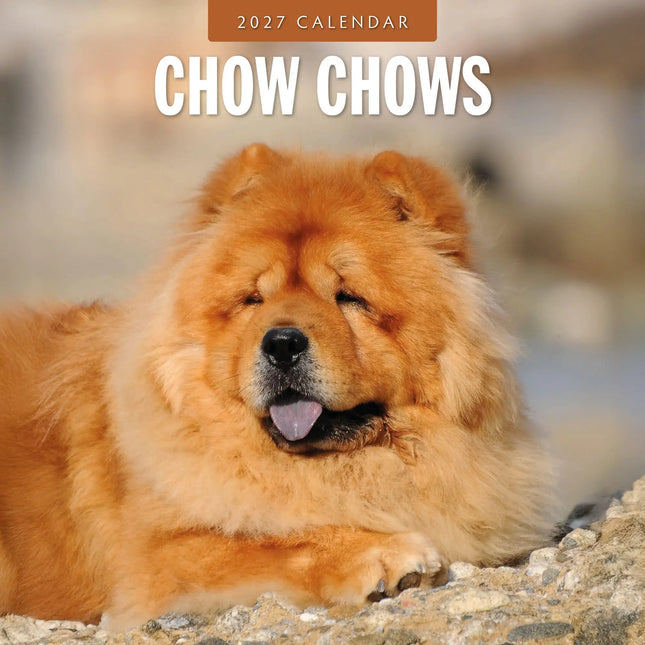 Avonside Chow Chow Kalender 2027