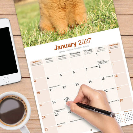 Avonside Chow Chow Kalender 2027