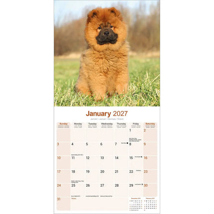 Avonside Chow Chow Kalender 2027