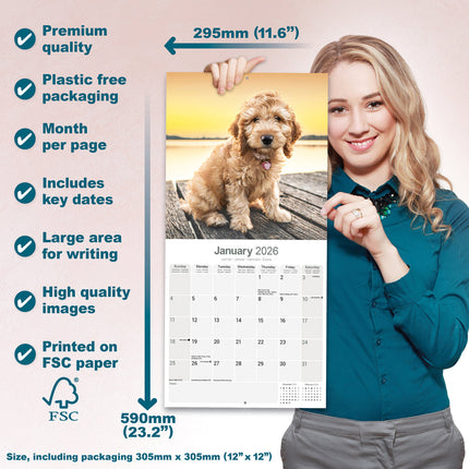 Avonside Cockapoo Kalender 2026