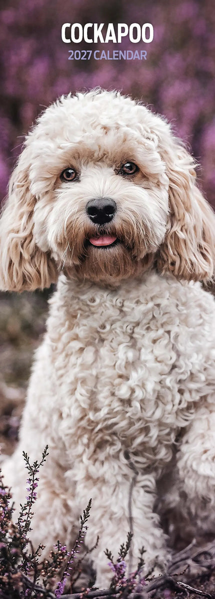 Avonside Cockapoo Kalender 2026 Slimline