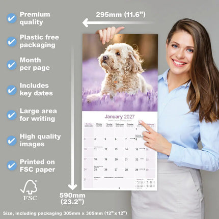 Avonside Cockapoo Kalender 2027