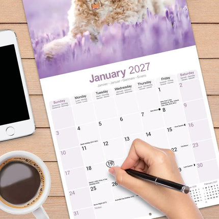 Avonside Cockapoo Kalender 2027