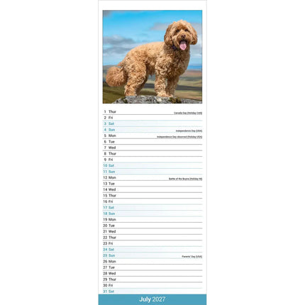 Avonside Cockapoo Kalender 2027 Slimline