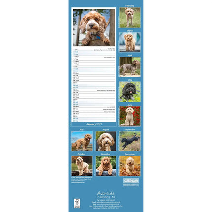 Avonside Cockapoo Kalender 2027 Slimline