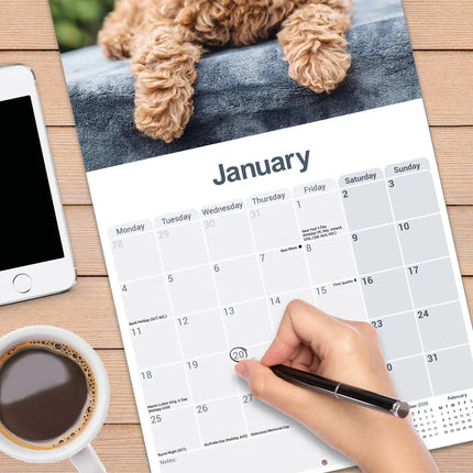 Avonside Cockapoo Puppies Kalender 2027