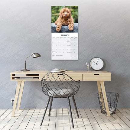 Avonside Cockapoo Puppies Kalender 2027