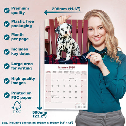 Avonside Dalmatier Kalender 2026