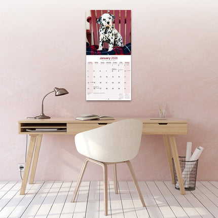 Avonside Dalmatier Kalender 2026