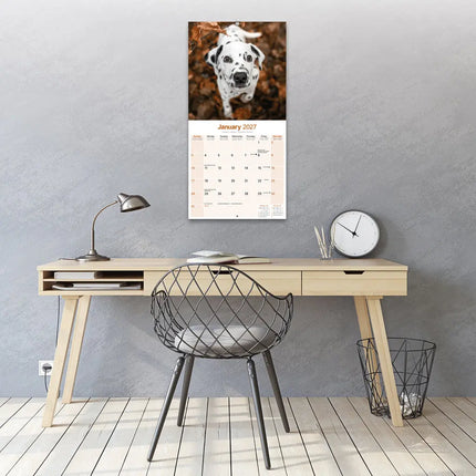 Avonside Dalmatier Kalender 2027