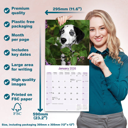Avonside Dalmatier Puppies Kalender 2026