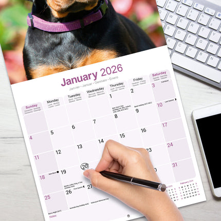 Avonside Dobermann Kalender 2026