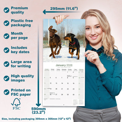 Avonside Dobermann Kalender 2027