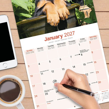 Avonside Dobermann Kalender 2027