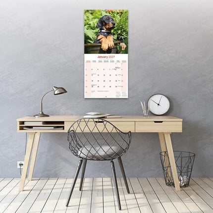 Avonside Dobermann Kalender 2027