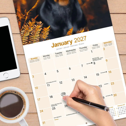 Avonside Dobermann Kalender 2027