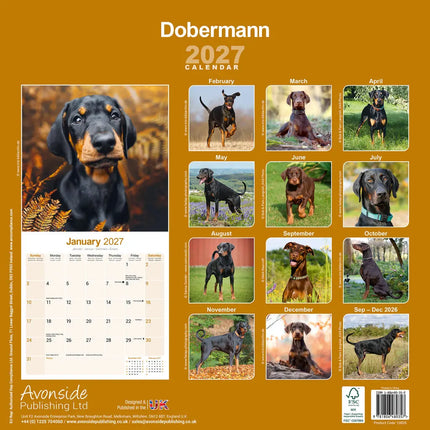 Avonside Dobermann Kalender 2027