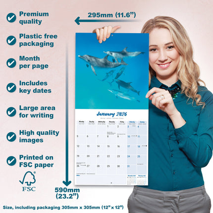 Avonside Dolfijnen Kalender 2026
