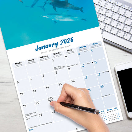 Avonside Dolfijnen Kalender 2026