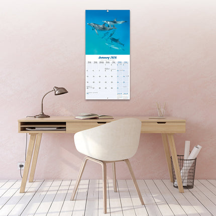 Avonside Dolfijnen Kalender 2026