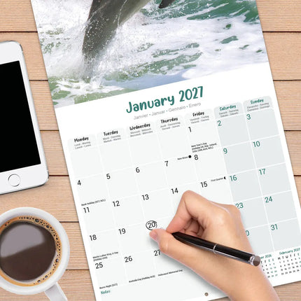 Avonside Dolfijnen Kalender 2027