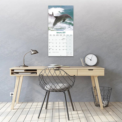 Avonside Dolfijnen Kalender 2027