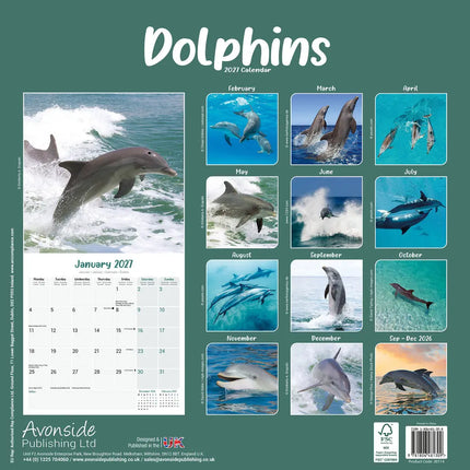Avonside Dolfijnen Kalender 2027