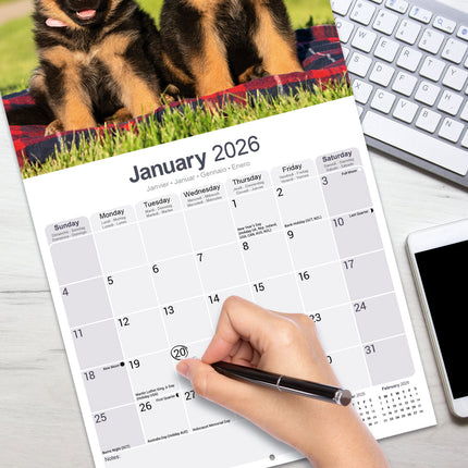Avonside Duitse Herder Kalender 2026