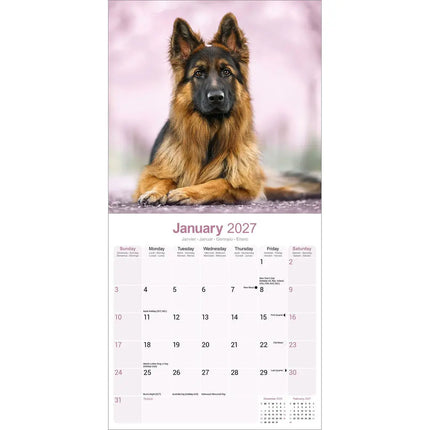 Avonside Duitse Herder Kalender 2027
