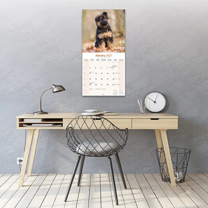 Avonside Duitse Herder Puppies Kalender 2027