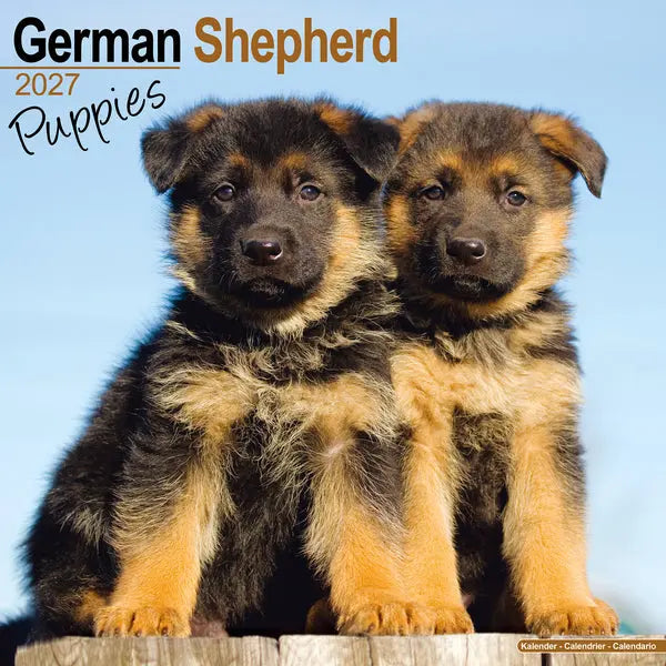 Avonside Duitse Herder Puppies Kalender 2027
