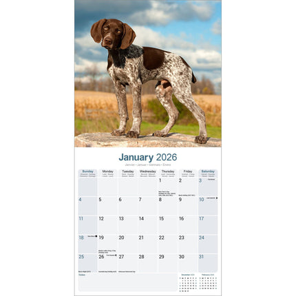 Avonside Duitse Staande Kalender 2026