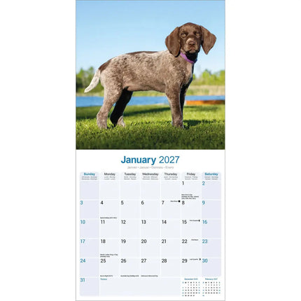 Avonside Duitse Staande Kalender 2027