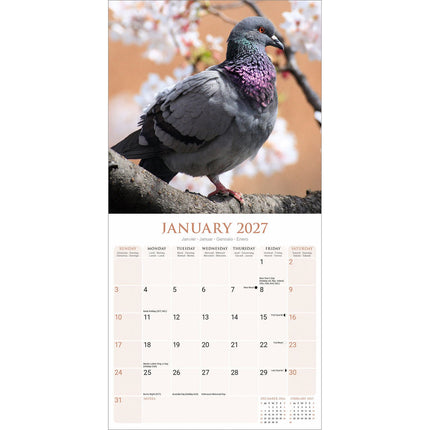 Avonside Duiven Kalender 2027
