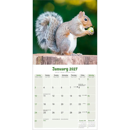 Avonside Eekhoorn Kalender 2027