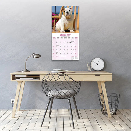 Avonside Engelse Bulldog Kalender 2027