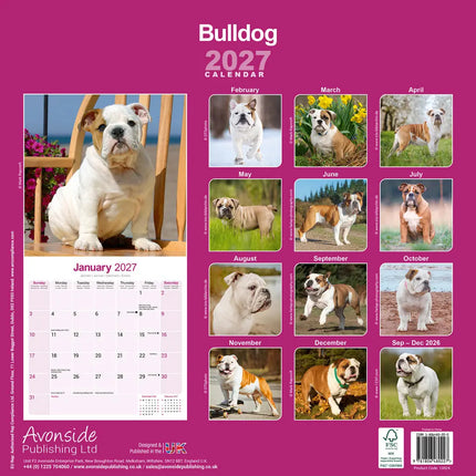 Avonside Engelse Bulldog Kalender 2027