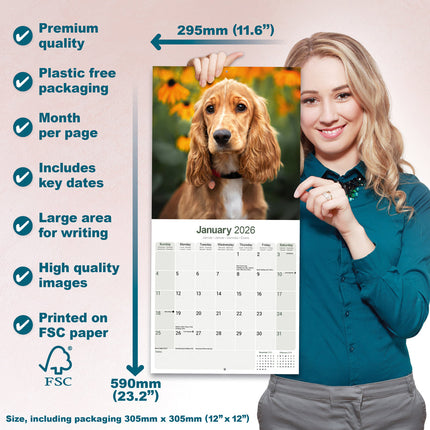 Avonside Engelse Cocker Spaniel Kalender 2026