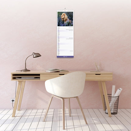 Avonside Engelse Cocker Spaniel Kalender 2026 Slimline