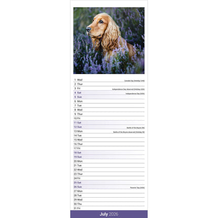 Avonside Engelse Cocker Spaniel Kalender 2026 Slimline