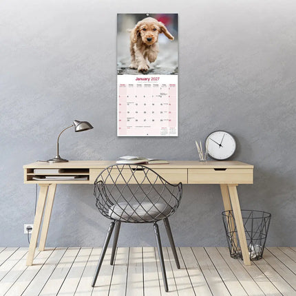 Avonside Engelse Cocker Spaniel Kalender 2027