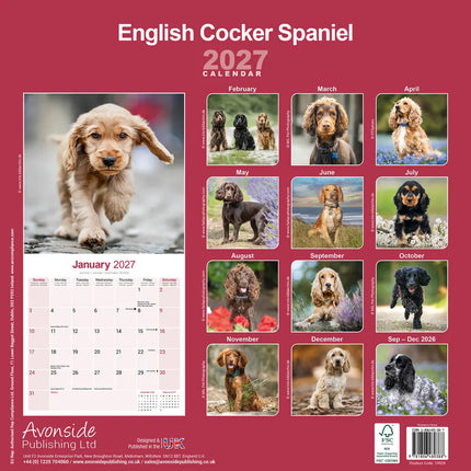 Avonside Engelse Cocker Spaniel Kalender 2027